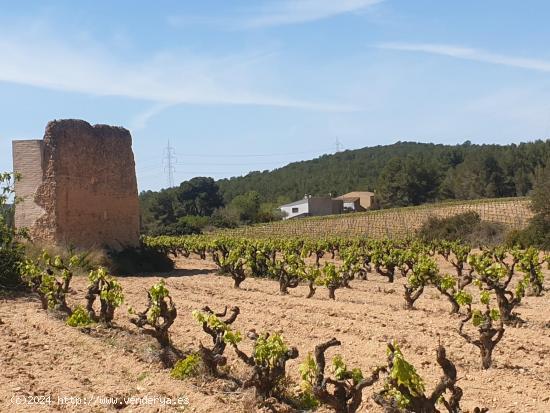 FINCA RUSTICA EN VENTA DE 24 Ha. - BARCELONA