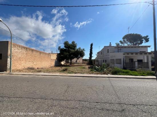 SOLAR URBANO PARA EDFICIAR TU VIVIENDA EN LES CASES D' ALCANAR !!! - TARRAGONA