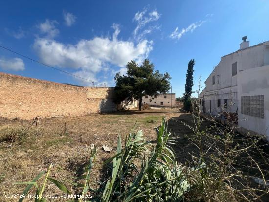 SOLAR URBANO PARA EDFICIAR TU VIVIENDA EN LES CASES D' ALCANAR !!! - TARRAGONA