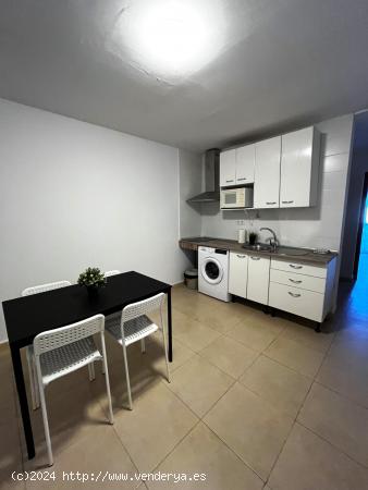 ☀🐬 APARTAMENTO ALEGRÍA 5 🐬☀ - CADIZ