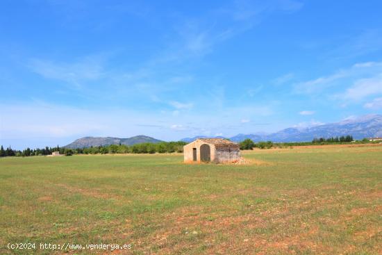 Finca rústica con caseta de campo y  magnificas vistas a la Serra de Tramuntana en Llubi - BALEARES