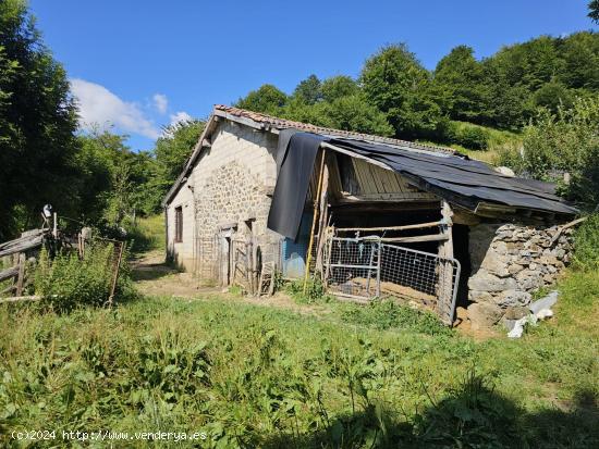 ¡Tu Refugio de Montaña Espera! Cabaña de Piedra con Vistas Espectaculares en Puerto San Isidro - 