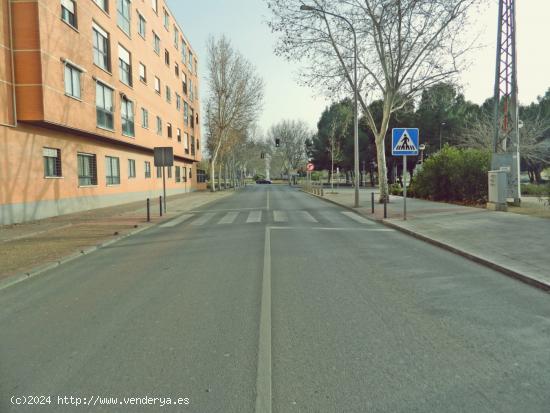 Venta de Local en carretera de fuensanta, 67 - CIUDAD REAL