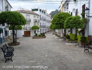 VENTA LOCAL COMERCIAL AYUNTAMIENTO - CADIZ