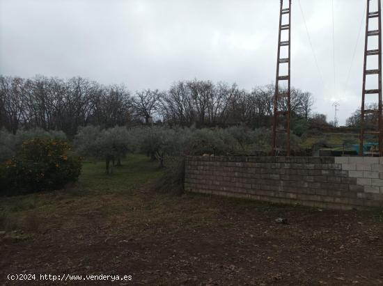 Se Vende en Villanueva de la Vera - CACERES