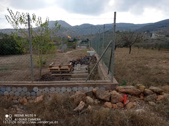 TERRENO RUSTICO  PARA EXPLOTACION AGRICOLA Y GANADERA - MURCIA