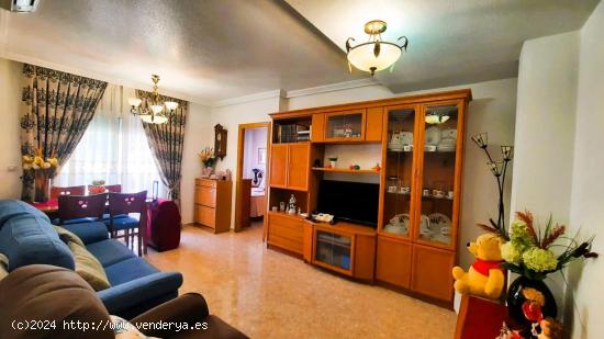  MAGNIFICO APARTAMENTO EN TORREVIEJA! 2 DORM. 1 BAÑO - ALICANTE 