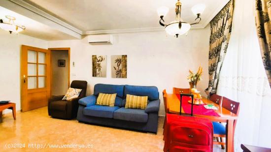 MAGNIFICO APARTAMENTO EN TORREVIEJA! 2 DORM. 1 BAÑO - ALICANTE