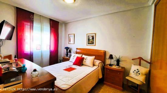 MAGNIFICO APARTAMENTO EN TORREVIEJA! 2 DORM. 1 BAÑO - ALICANTE