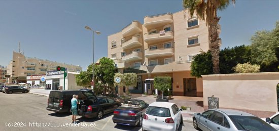 Piso en alquiler en Orihuela (Alicante)