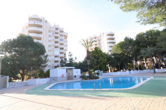 Apartamento en venta en Orihuela (Alicante)