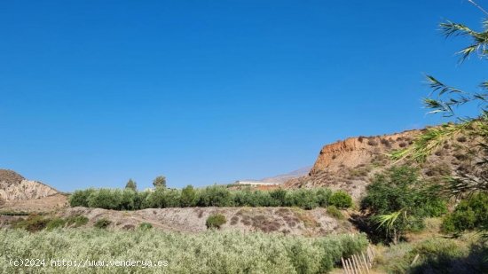 Suelo rústico en Venta en Canjayar Almería