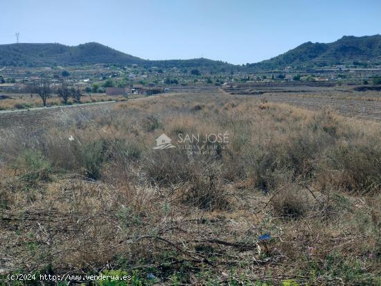 VENTA DE PARCELA RUSTICA AL LADO DEL PUEBLO EN HONDON DE LOS FRAILES - ALICANTE