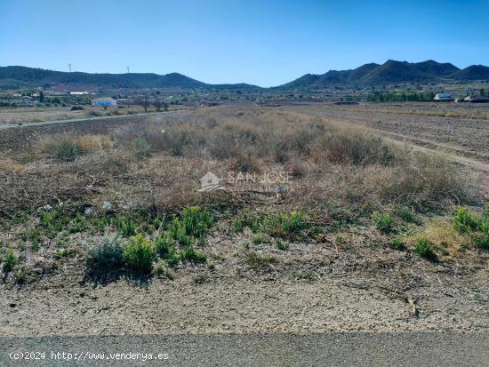 VENTA DE PARCELA RUSTICA AL LADO DEL PUEBLO EN HONDON DE LOS FRAILES - ALICANTE