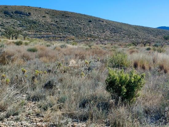 SE VENDE PARCELA EN LA SOLANA DE HONDON DE LOS FRAILES - ALICANTE