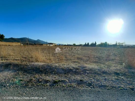 SE VENDE PARCELA RUSTICA EN HONDON DE LAS NIEVES ZONA LA SOLANA - ALICANTE