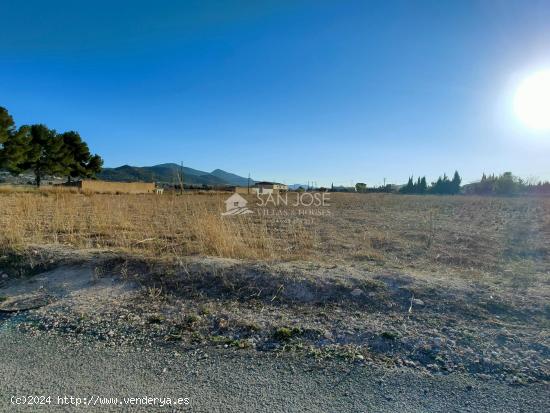 SE VENDE PARCELA RUSTICA EN HONDON DE LAS NIEVES ZONA LA SOLANA - ALICANTE