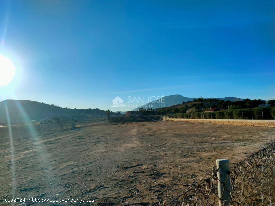 SE ALQUILA PARCELA RUSTICA EN HONDON DE LAS NIEVES - ALICANTE