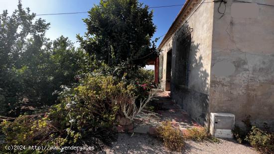 Casa Rústica con Gran Potencial para Reforma entre Casillas y Llano de Brujas, Murcia - MURCIA