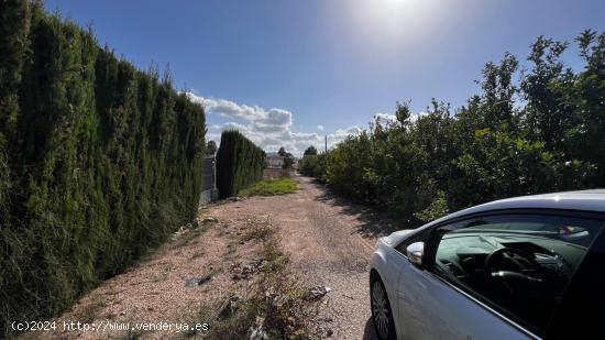 Casa Rústica con Gran Potencial para Reforma entre Casillas y Llano de Brujas, Murcia - MURCIA