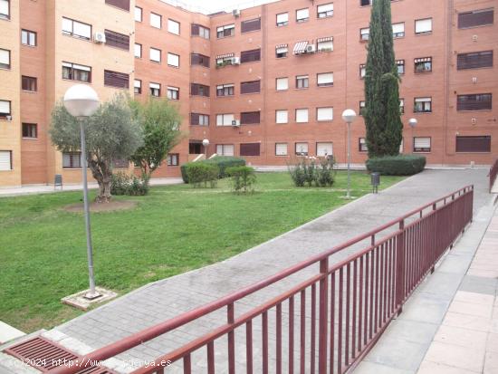 LIDECO VENDE PISO 2 HAB EN MANCHA AMARILLA !! - MADRID