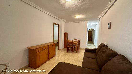 APARTAMENTO AL LADO DEL COLEGIO ACEQUION - ALICANTE