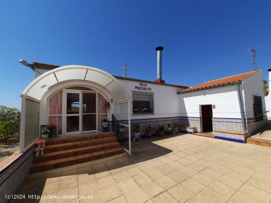  EXCELENTE CHALET EN MONTEALEGRE DEL CASTILLO - ALBACETE 