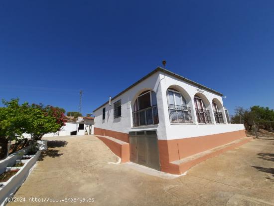 EXCELENTE CHALET EN MONTEALEGRE DEL CASTILLO - ALBACETE