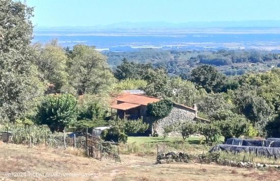 Finca singular con casa de piedra - CACERES