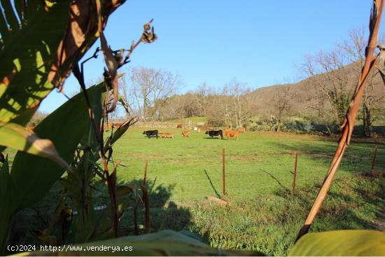 Finca singular con casa de piedra - CACERES