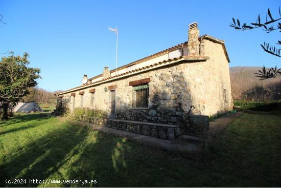 Finca singular con casa de piedra - CACERES