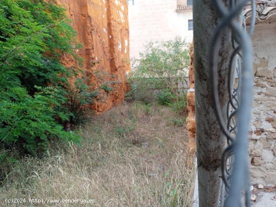 Parcela a la venta en Santa Faz. - ALICANTE