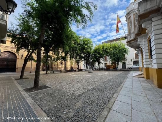 Se Alquila en Badajoz - BADAJOZ