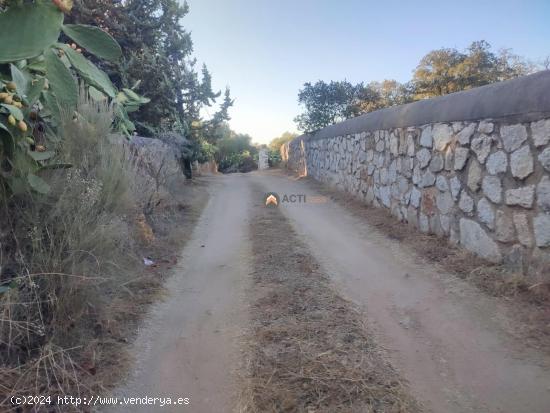  PARCELAS CON DISPONIBILIDAD DE AGUA Y LUZ PARA SU CONEXIÓN EN MALPARTIDA DE CÁCERES - CACERES 