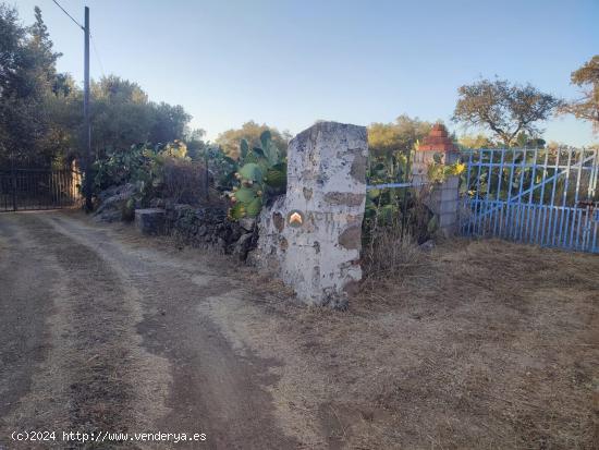 PARCELAS CON DISPONIBILIDAD DE AGUA Y LUZ PARA SU CONEXIÓN EN MALPARTIDA DE CÁCERES - CACERES