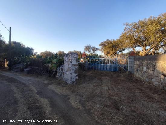 PARCELAS CON DISPONIBILIDAD DE AGUA Y LUZ PARA SU CONEXIÓN EN MALPARTIDA DE CÁCERES - CACERES