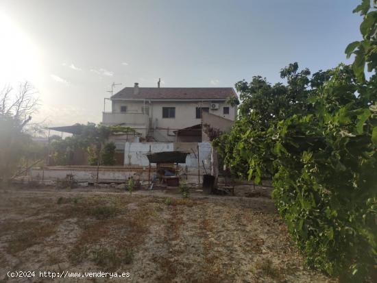 VIVIENDA EN LA HUERTA DE MURCIA (LOS DOLORES) - MURCIA