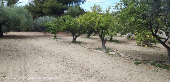 Suelo Urbano en Busot. Alicante - ALICANTE