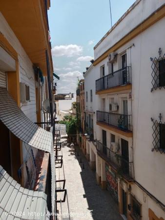 Calle Azafran Piso con Posibilidad de Magnifico Garaje para coche y Moto. - SEVILLA