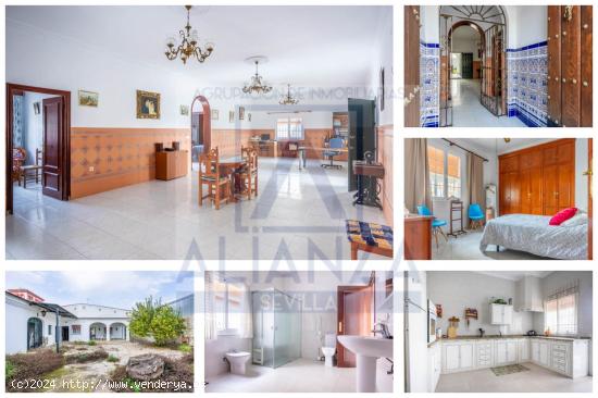 Venta de casa en Bollullos de la Mitación (Sevilla) - SEVILLA