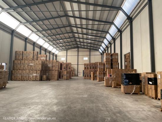 NAVE DE 900M2 MAS 200M2 DE ALTILLO - MURCIA