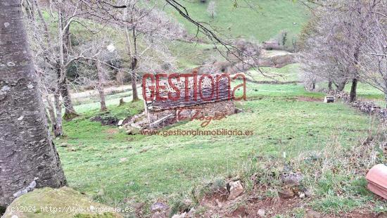 CABAÑA EN SOBA. VALDICION - CANTABRIA