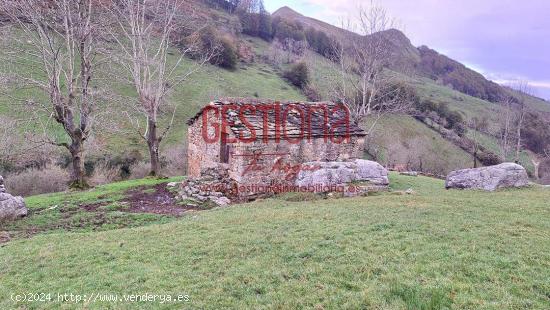 CABAÑA DE PIEDRA EN SOBA. VALDICCON - CANTABRIA