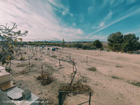 CASA DE CAMPO ZONA LA MATANZA DE FORTUNA - MURCIA