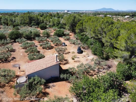  Magnífica Finca Rústica con casa de campo, a tan solo 1,5 km de la playa - TARRAGONA 