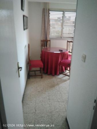 Piso ideal para estudiantes en pleno centro - CACERES