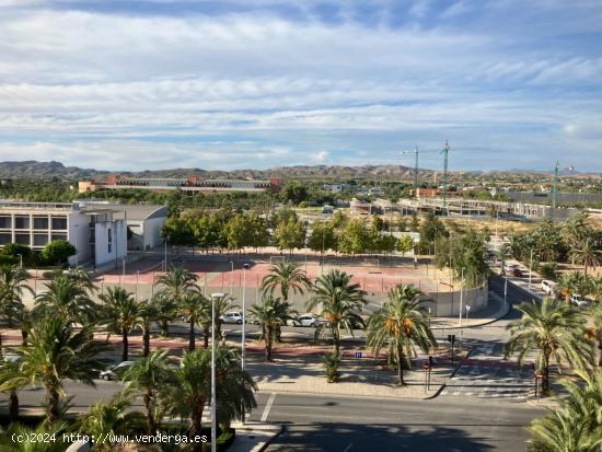 MAGNIFICA VIVIENDA EN ALQUILER AL LADO DE LA UNIVERSIDAD - ALICANTE