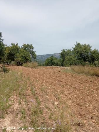 Bonita finca con varias construcciones - BALEARES