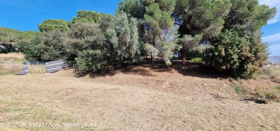  PARCELA EN SANT POL DE MAR - BARCELONA 