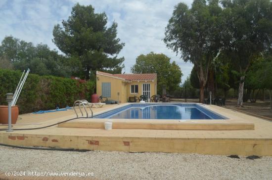 CHALET INDEPENDIENTE DE PLANTA BAJA CON TERRENO - MURCIA